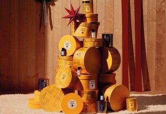 【Acqua di Parma 帕爾瑪之水】攜手義大利設計師 CRISTINA CELESTINO