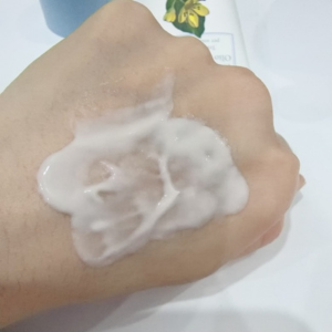 網友心得圖片