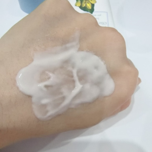 網友心得圖片