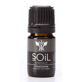 新娘秘書補習班