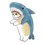 150x150 509388 9b0904ce9f8acf9d